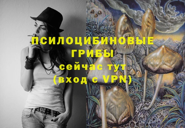 дживик Сатка