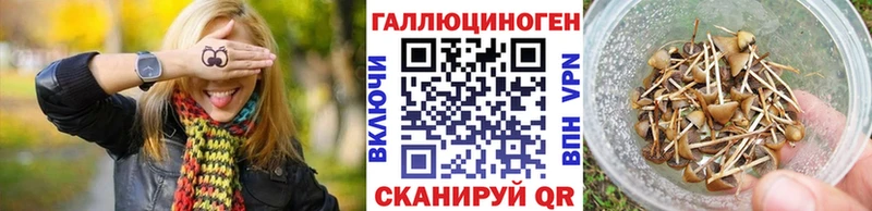 Псилоцибиновые грибы мухоморы  сколько стоит  Анапа 