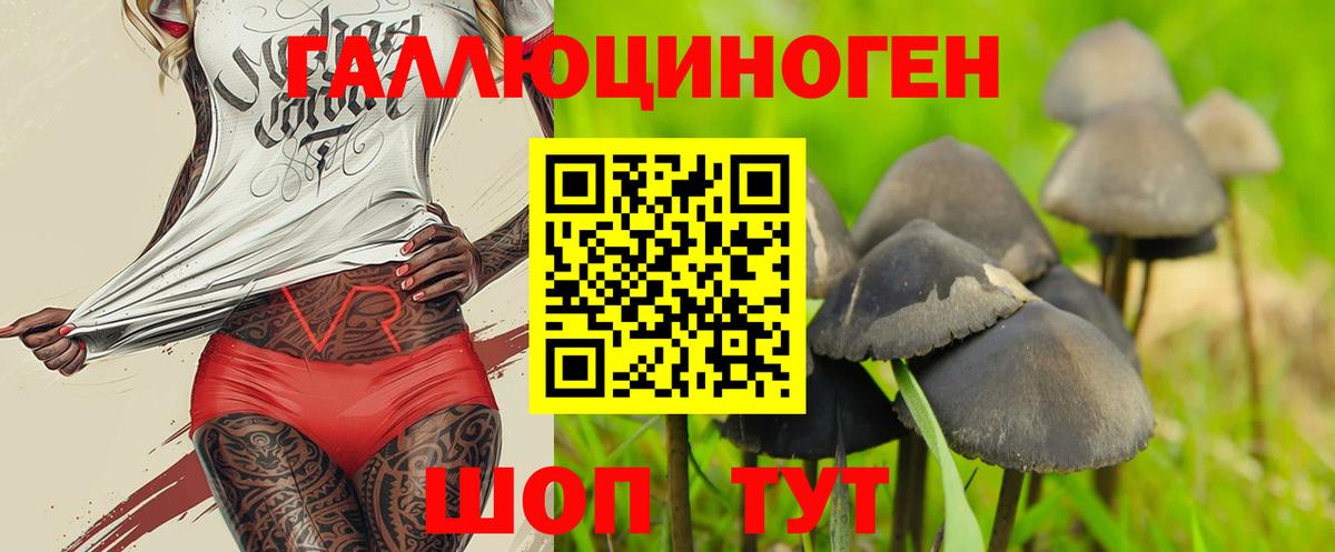 Псилоцибиновые грибы Psilocybe  Галлюциногенные грибы мицелий  Анапа  Вход с VPN 